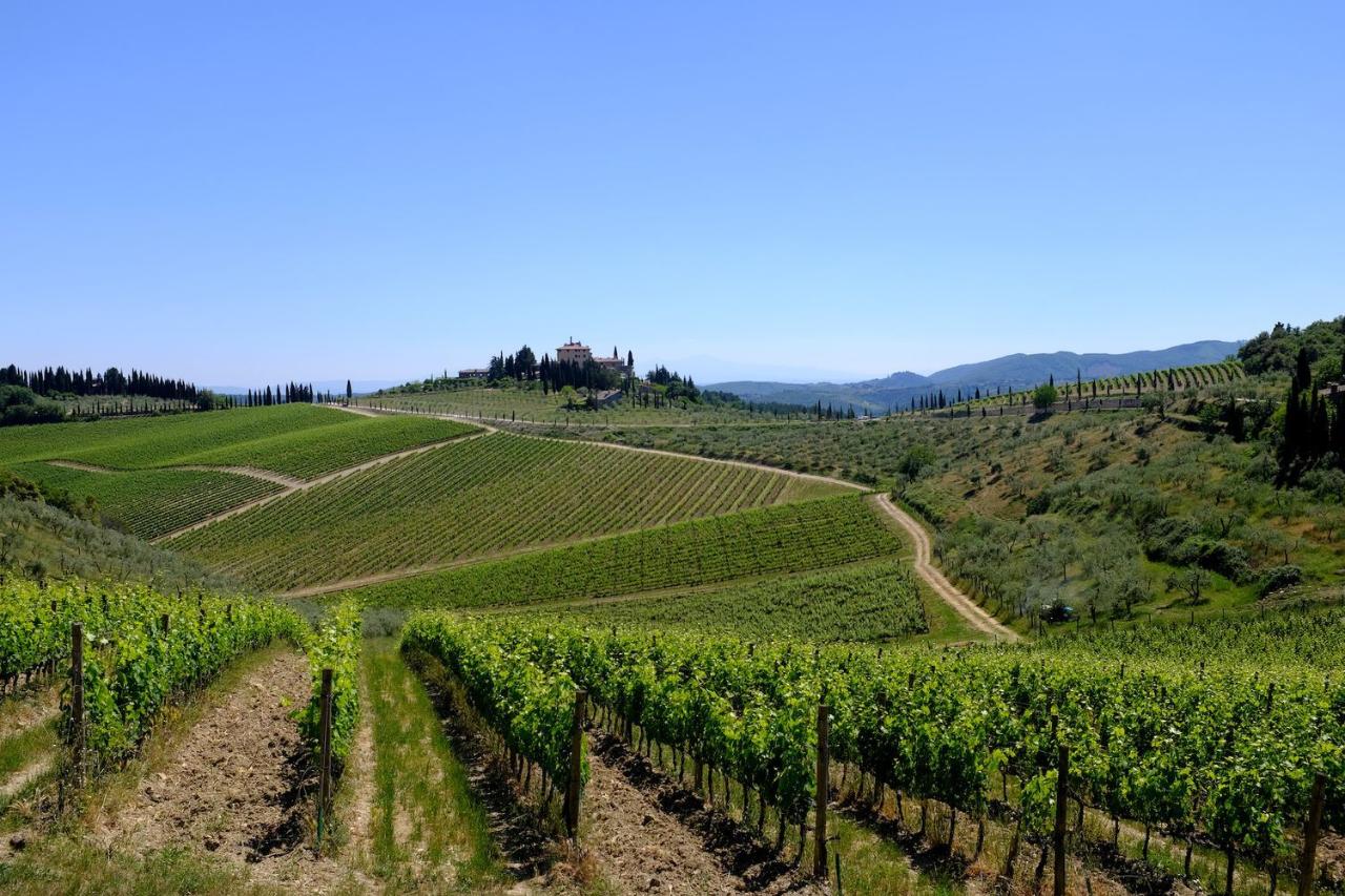 Terreno edificabile in vendita a Castelnuovo Berardenga