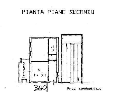 immagine annuncio 13 di 14