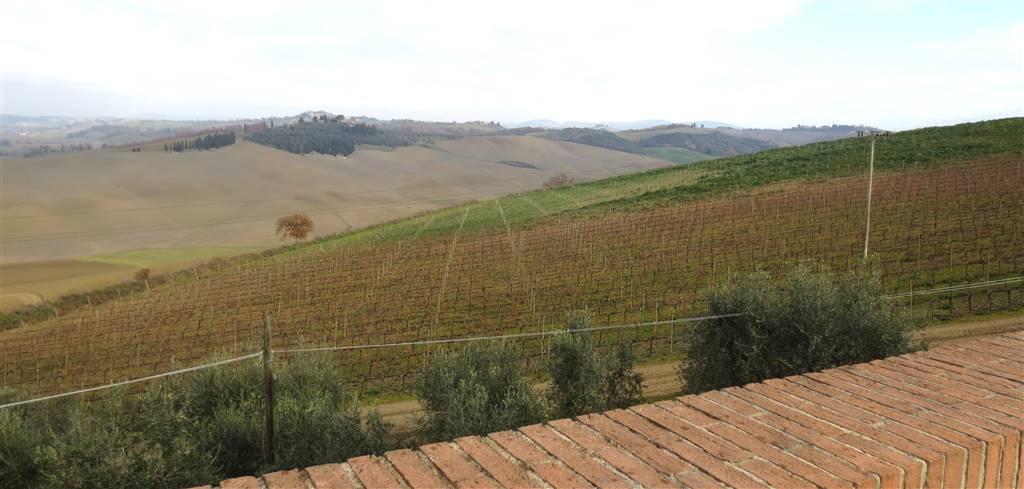Azienda agricola in , Montalcino, {3} - Foto 1
