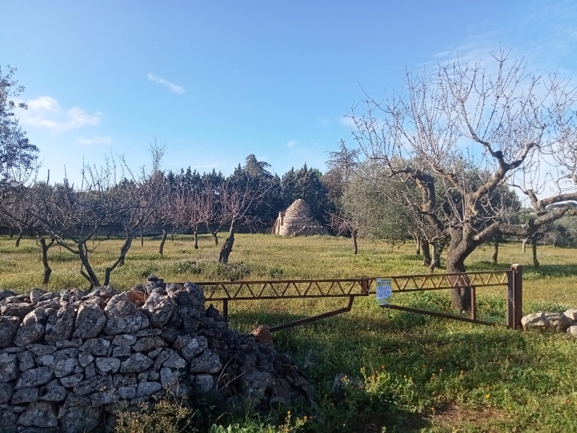 immagine annuncio 6 di 7