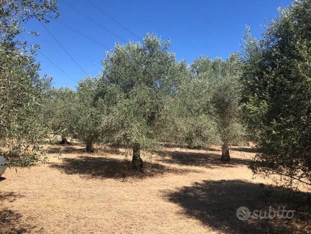 Terreno agricolo in {3}, 09023 Monastir su, Italia - Foto 1