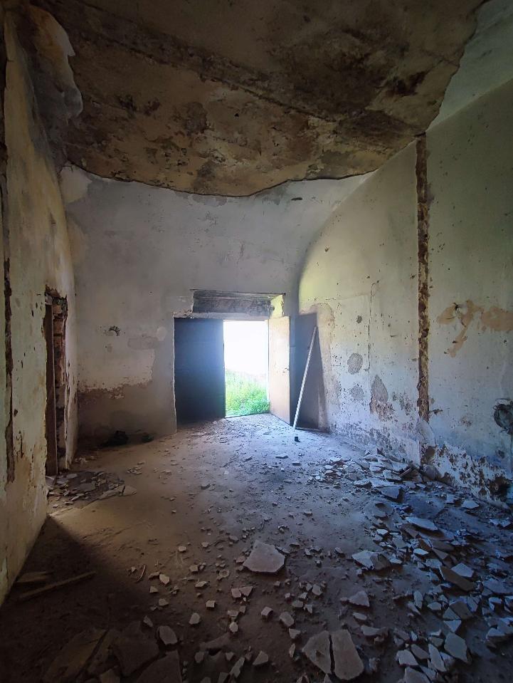 immagine annuncio 5 di 14