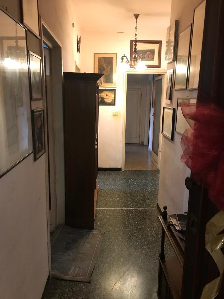 immagine annuncio 1 di 13