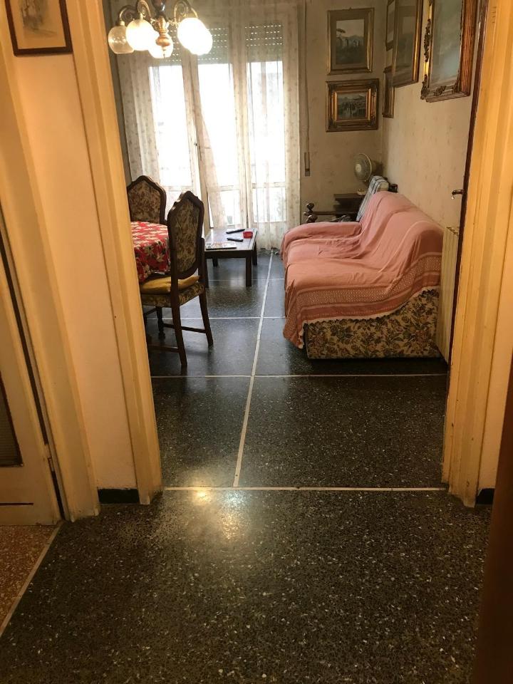 immagine annuncio 10 di 13