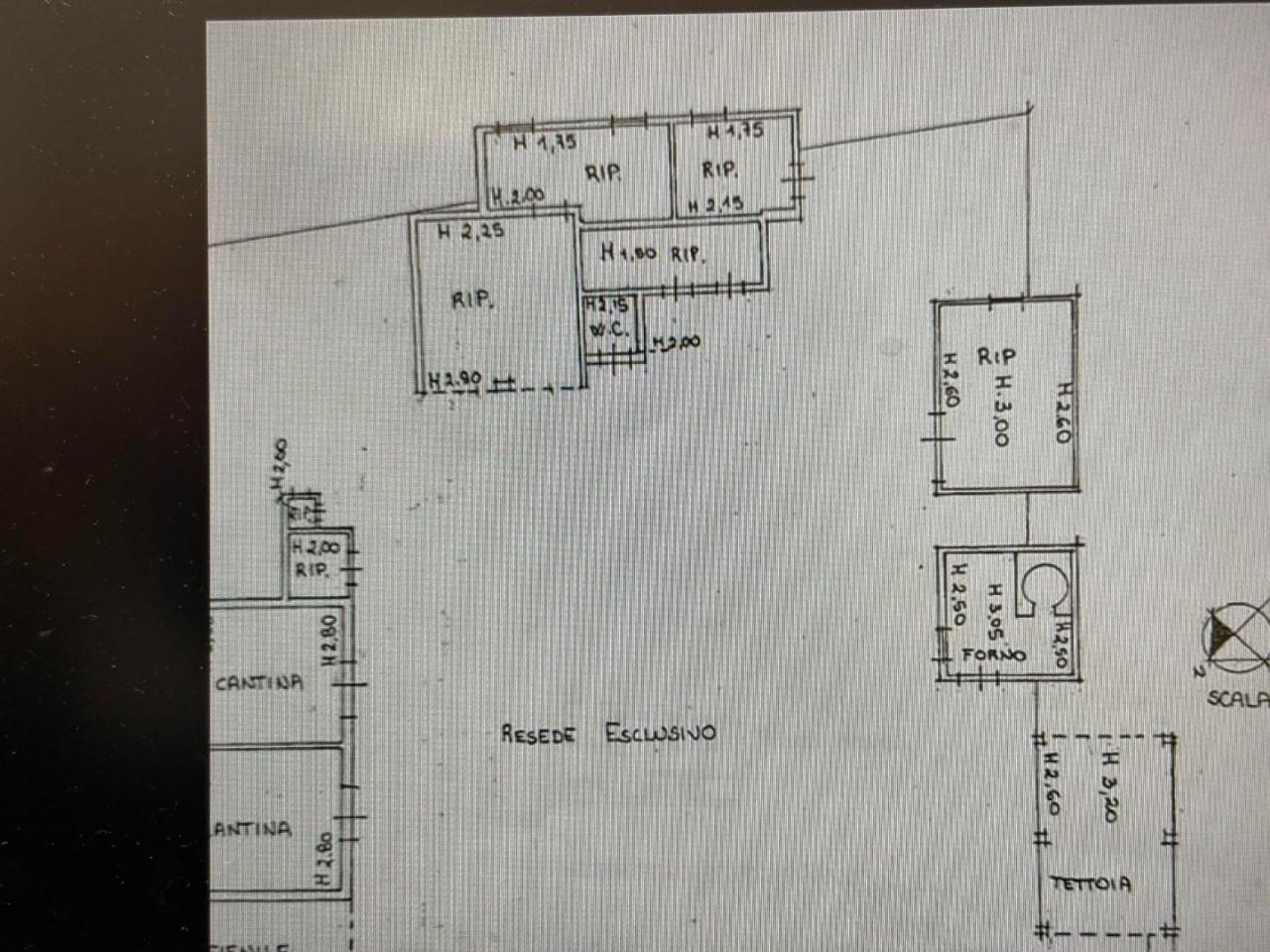 immagine annuncio 1 di 2