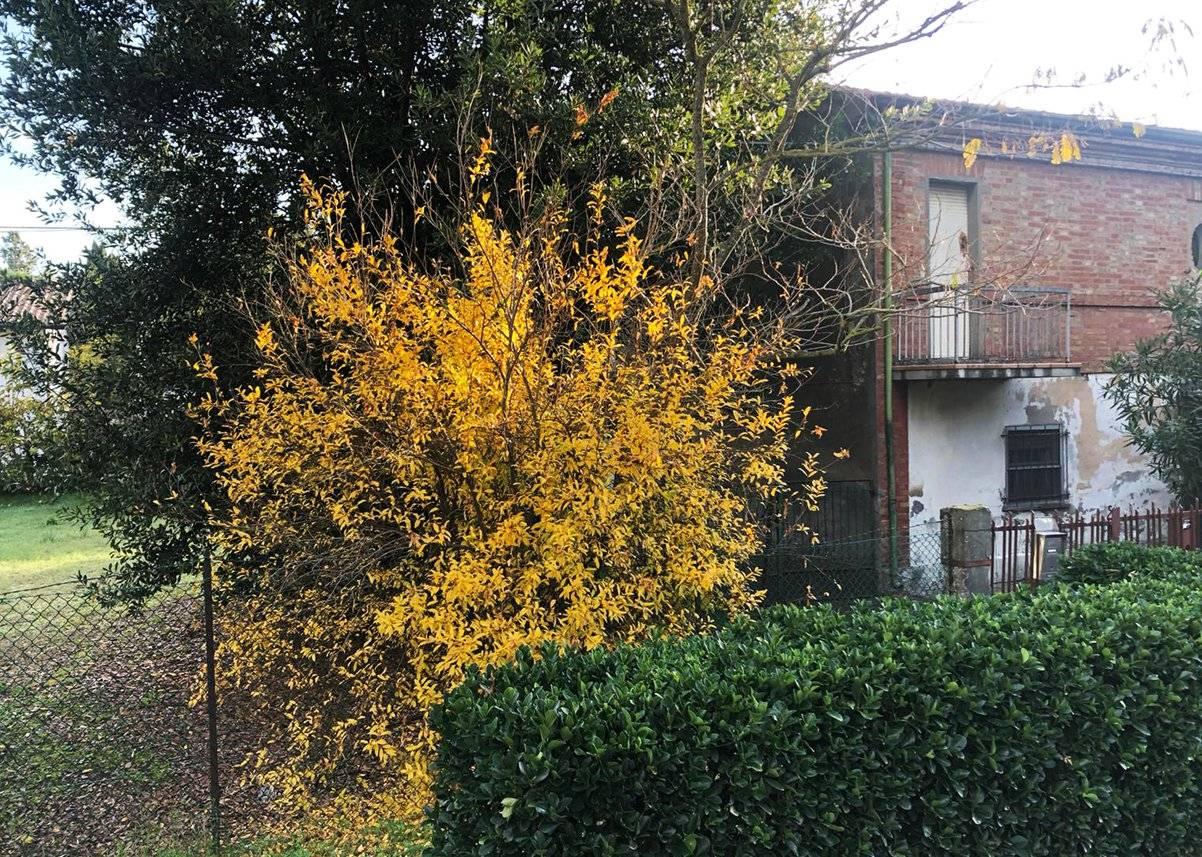 immagine annuncio 3 di 7