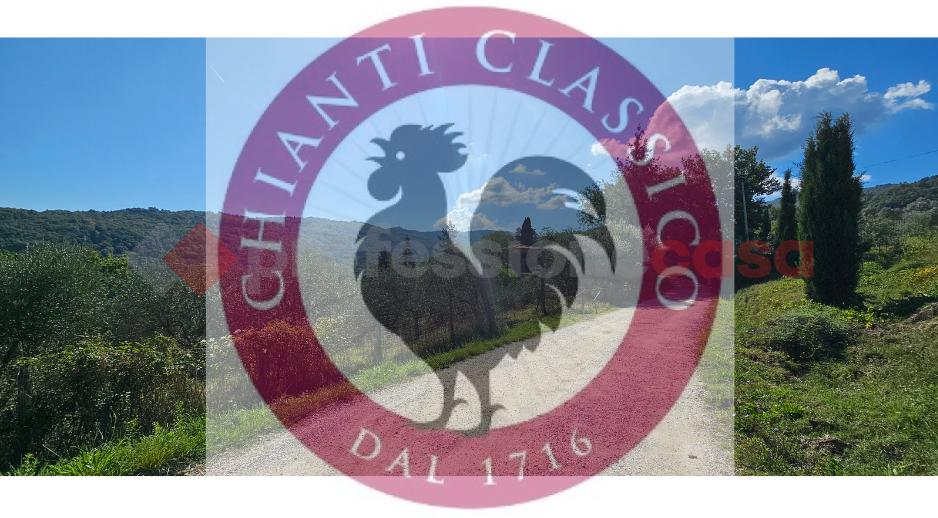 Azienda agricola in Via Case Sparse  94, Greve In Chianti, {3} - Foto 1