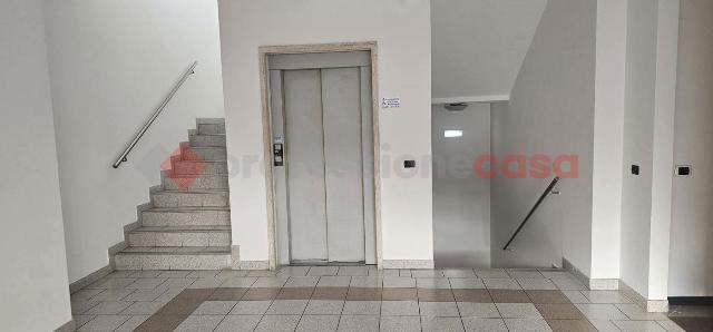 insertion image