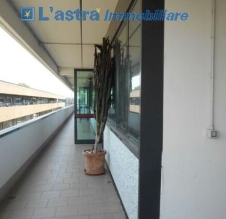 insertion image