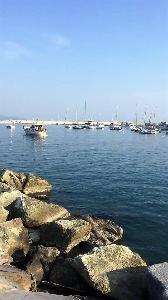 immagine annuncio 13 di 14