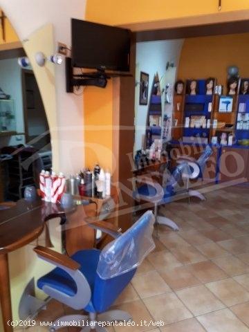 Esercizio commerciale in 
C.da Bosco									, 
Marsala									, Marsala, {3} - Foto 2