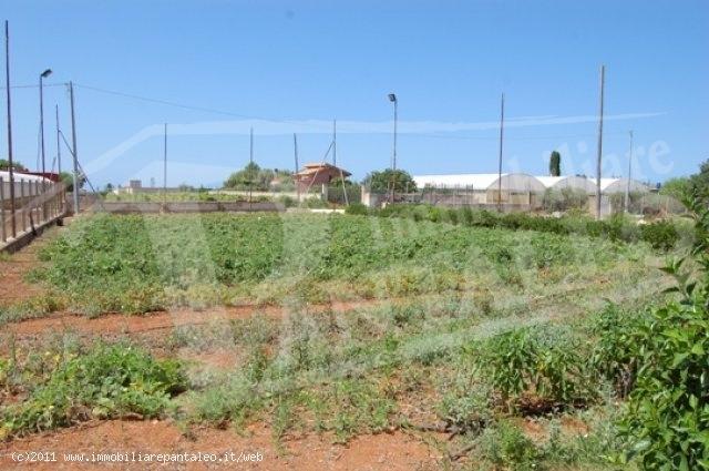 Podere - Tenuta in 
C.da Ventrischi									, 
Marsala									, Marsala, {3} - Foto 2