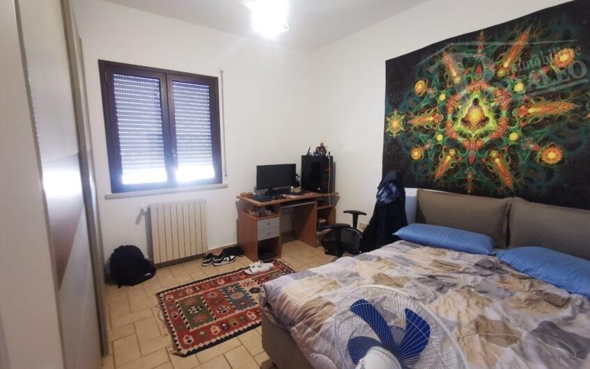 immagine annuncio 4 di 14