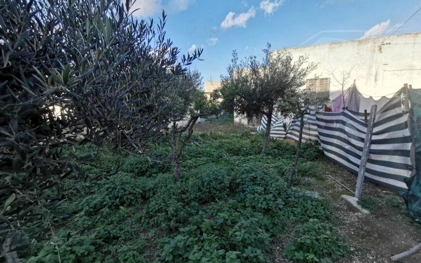immagine annuncio 2 di 3