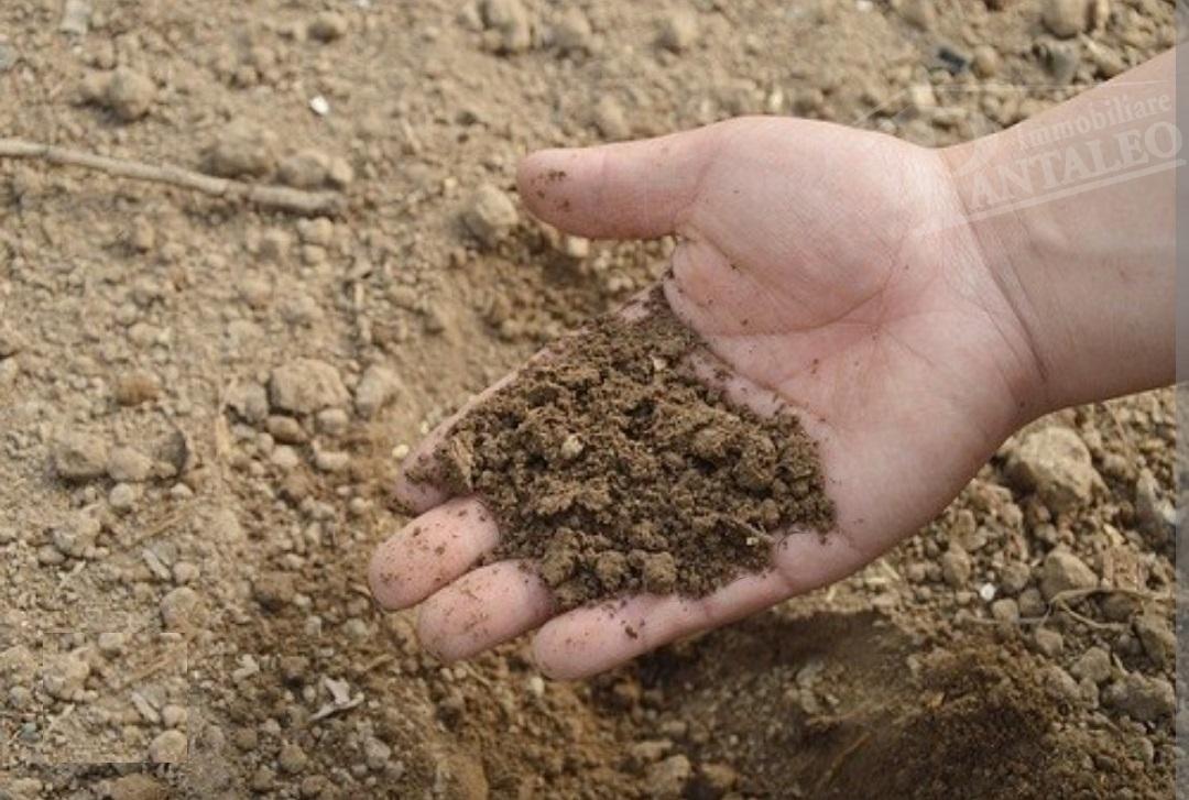 terreno agricolo in vendita a Marsala