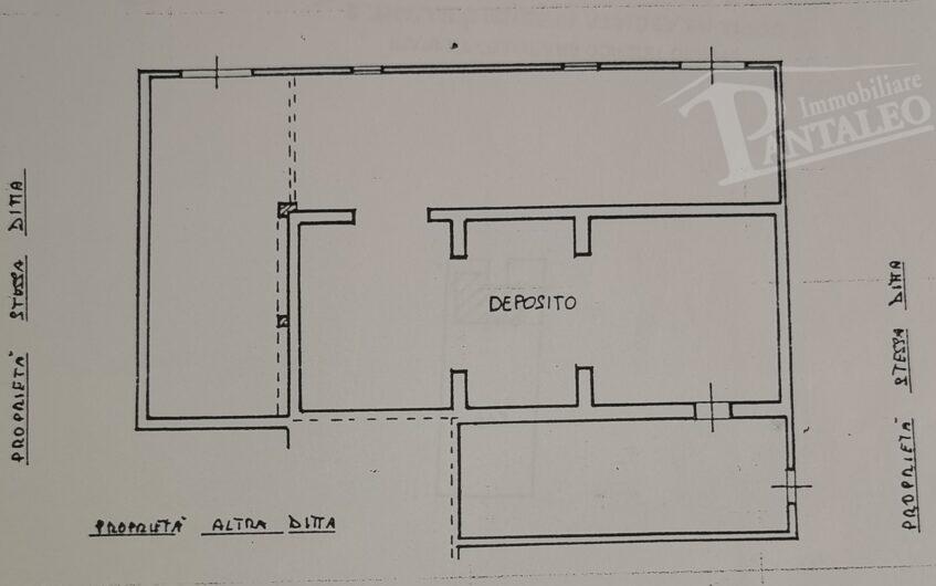 immagine annuncio 3 di 6