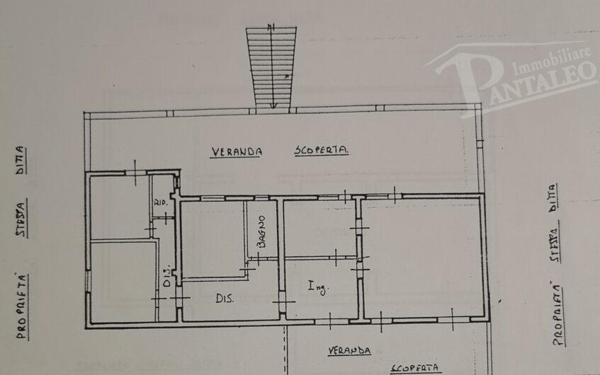 immagine annuncio 4 di 6