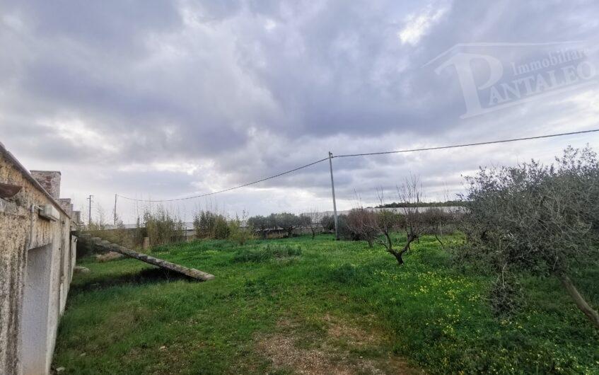 immagine annuncio 2 di 6