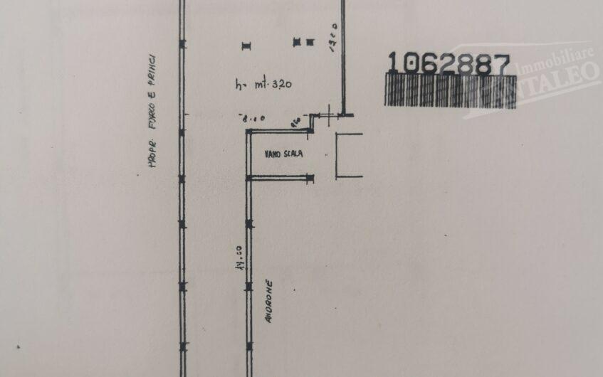 Esercizio commerciale in 
Via Mazzini									, 
Marsala									, Marsala, {3} - Foto 2