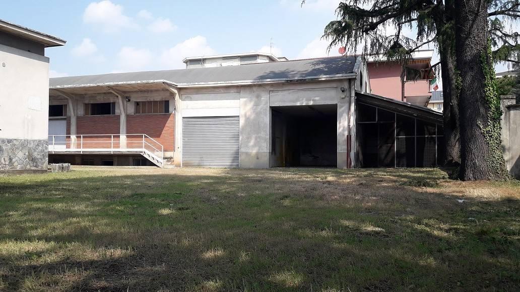 immagine annuncio 9 di 15