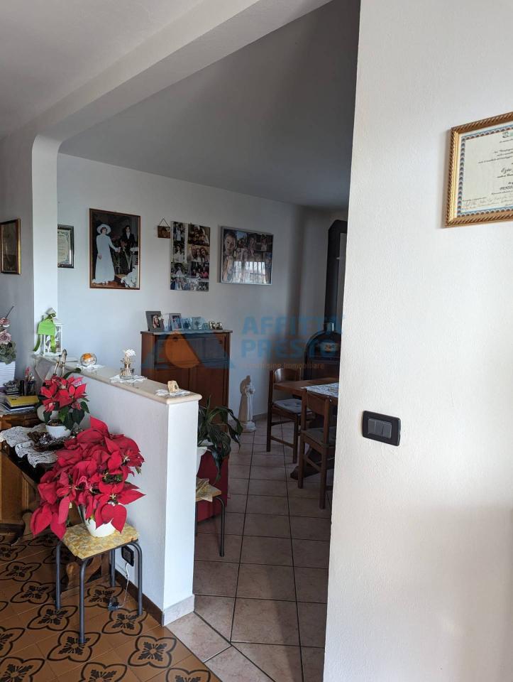 immagine annuncio 3 di 12