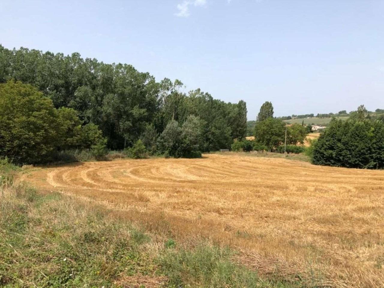 immagine annuncio 4 di 9