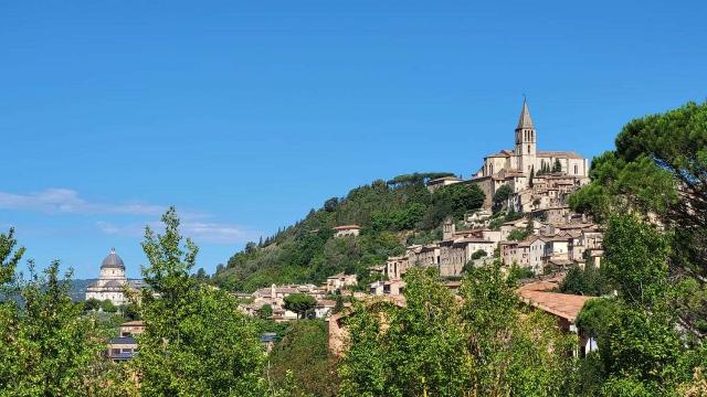 Geschäftsraum in {3}, Loc. Santa Maria Maddalena - Foto 1