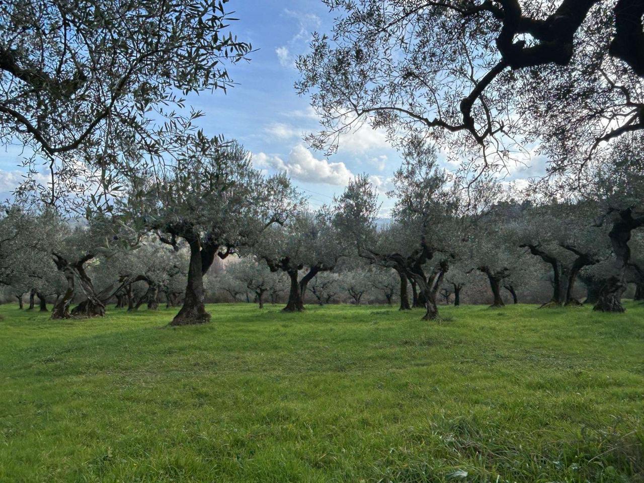 immagine annuncio 5 di 7