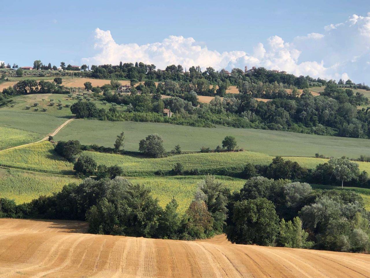 immagine annuncio 5 di 11