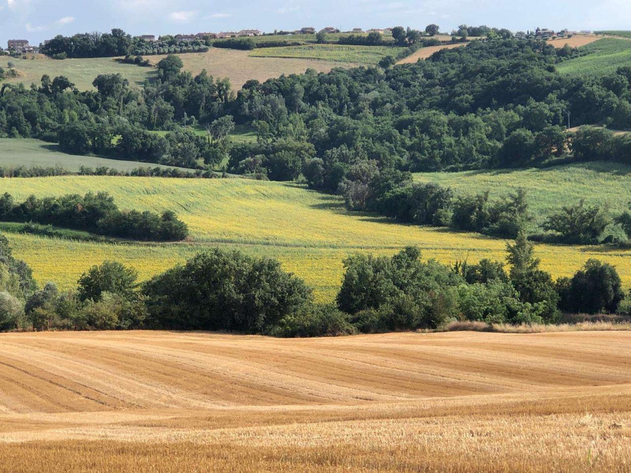 immagine annuncio 6 di 11