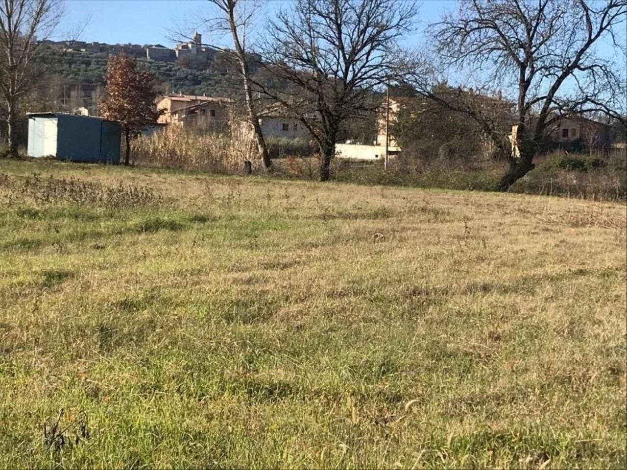 immagine annuncio 3 di 6