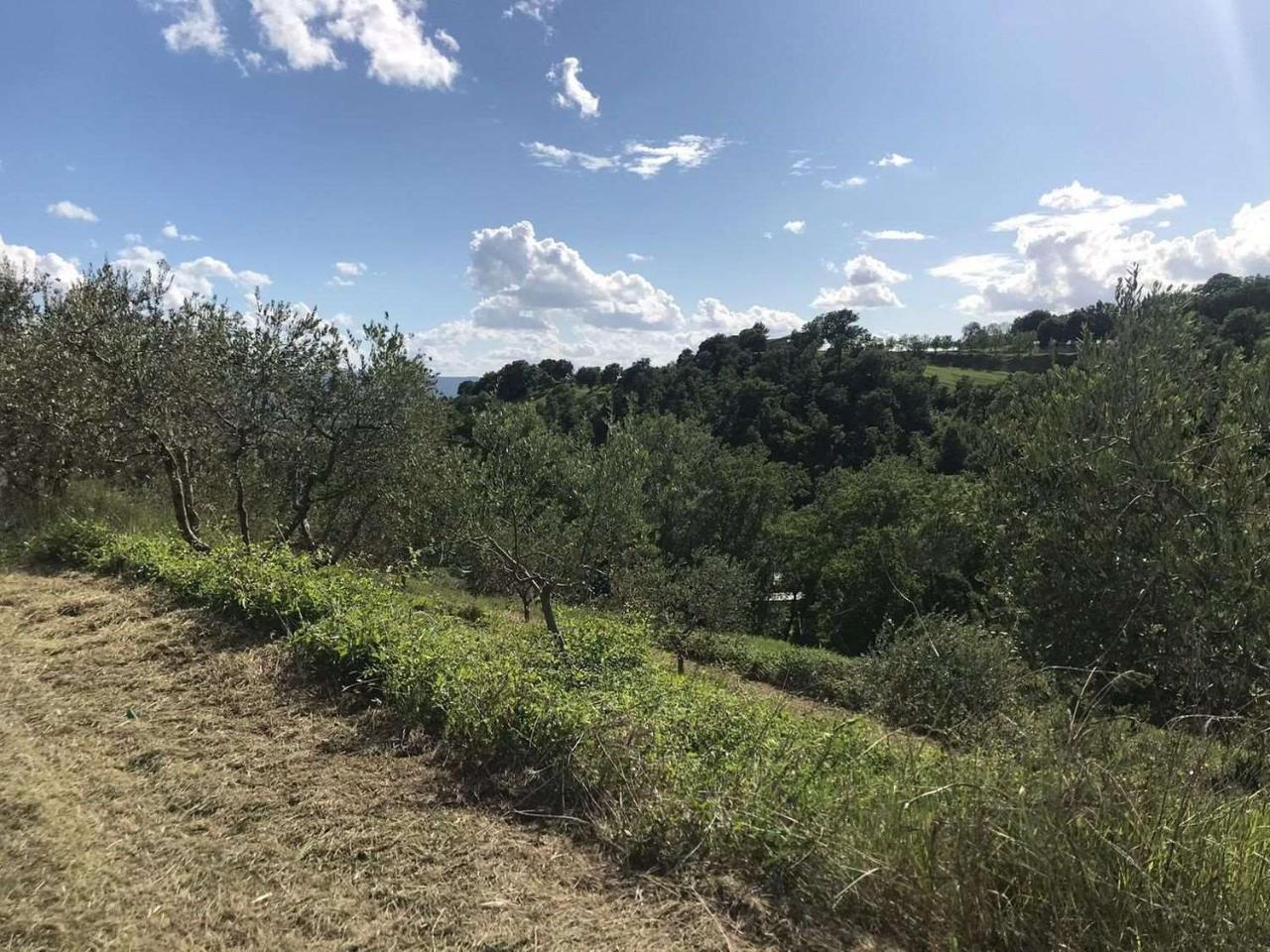 immagine annuncio 2 di 11