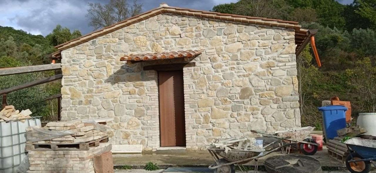 immagine annuncio 5 di 11