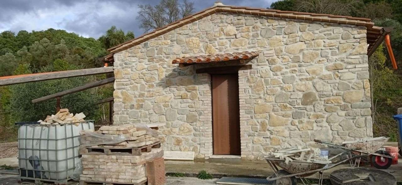 immagine annuncio 6 di 11