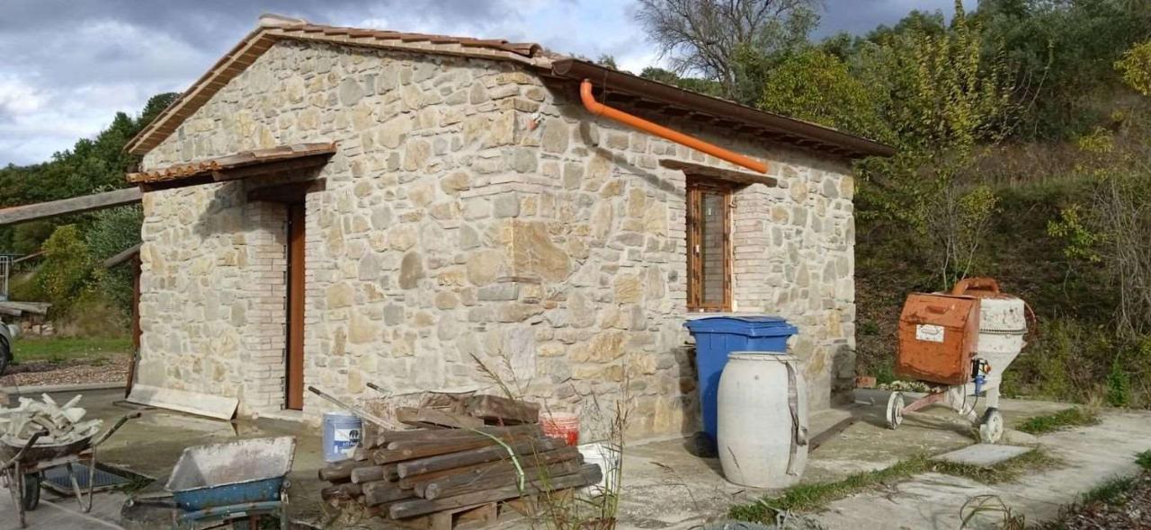 immagine annuncio 4 di 11