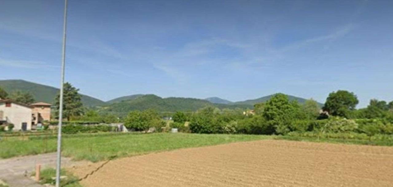 immagine annuncio 3 di 4