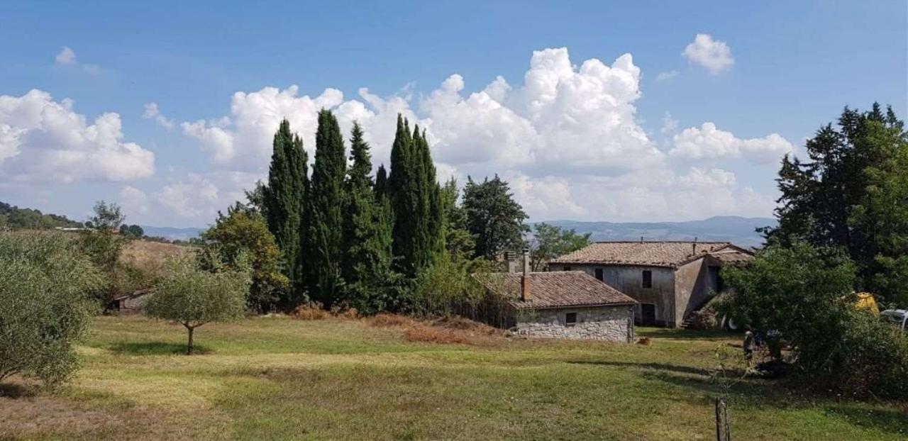 Locale commerciale in Provinciale Sforzesca, Castell'Azzara, {3} - Foto 1