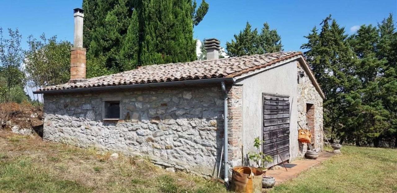 Locale commerciale in Provinciale Sforzesca, Castell'Azzara, {3} - Foto 2