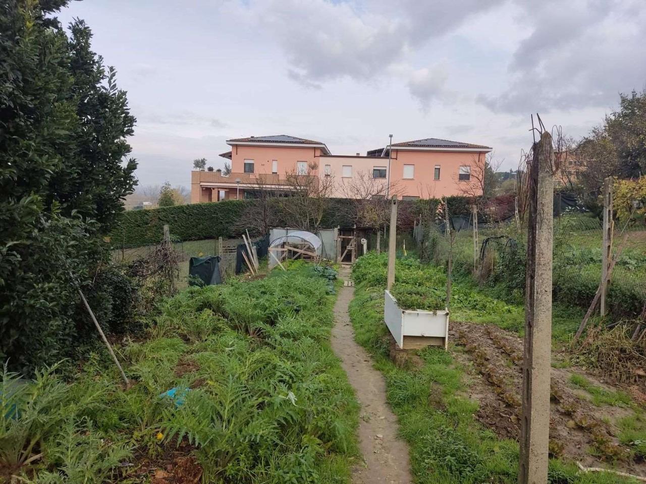 immagine annuncio 12 di 13