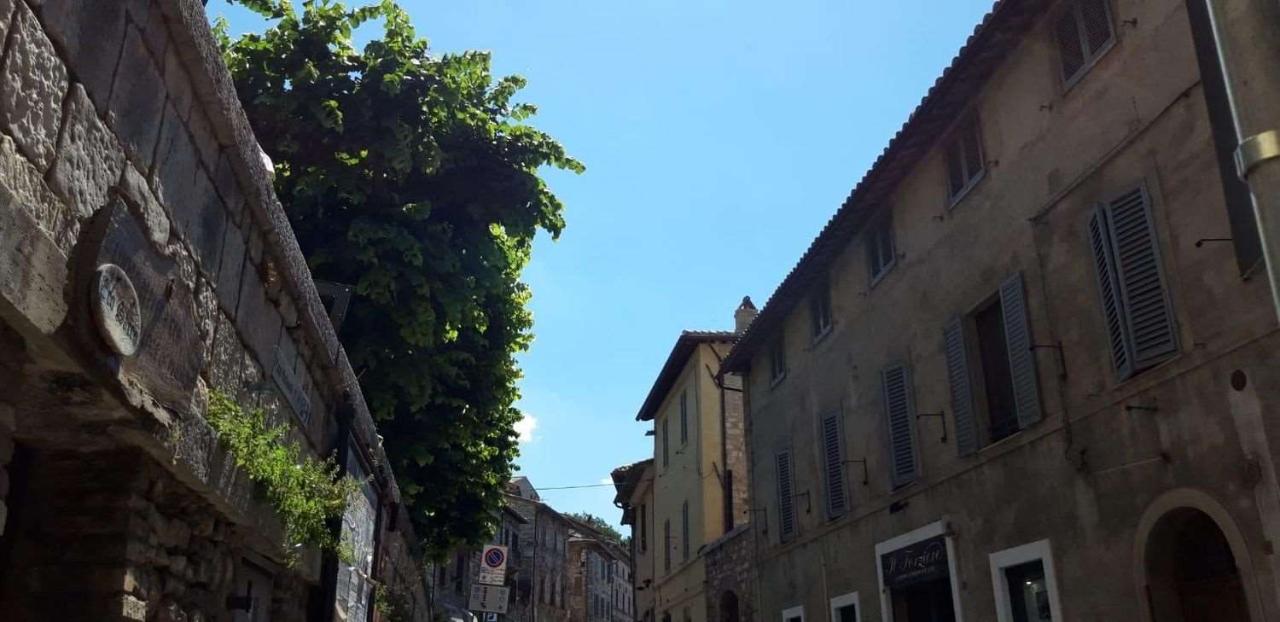 Capannone in San Gabriele dell'Addolorata, Assisi, {3} - Foto 2
