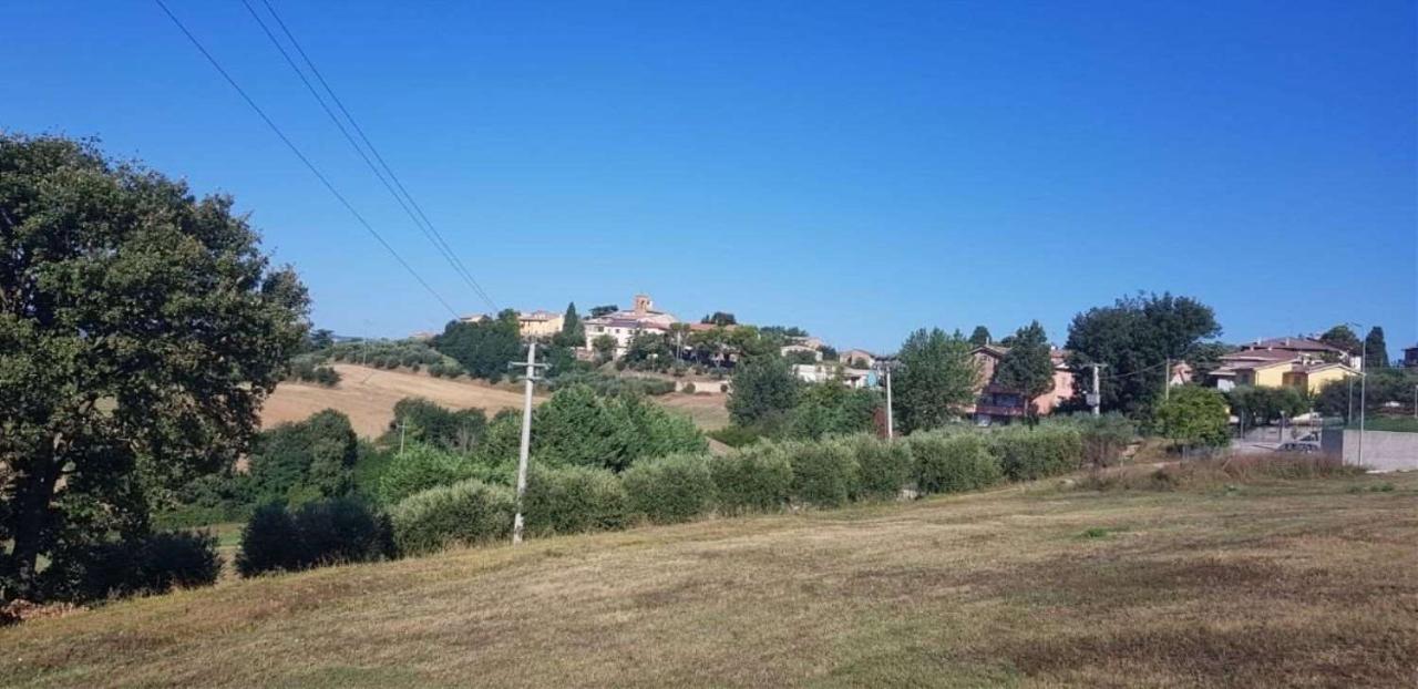 immagine annuncio 6 di 8