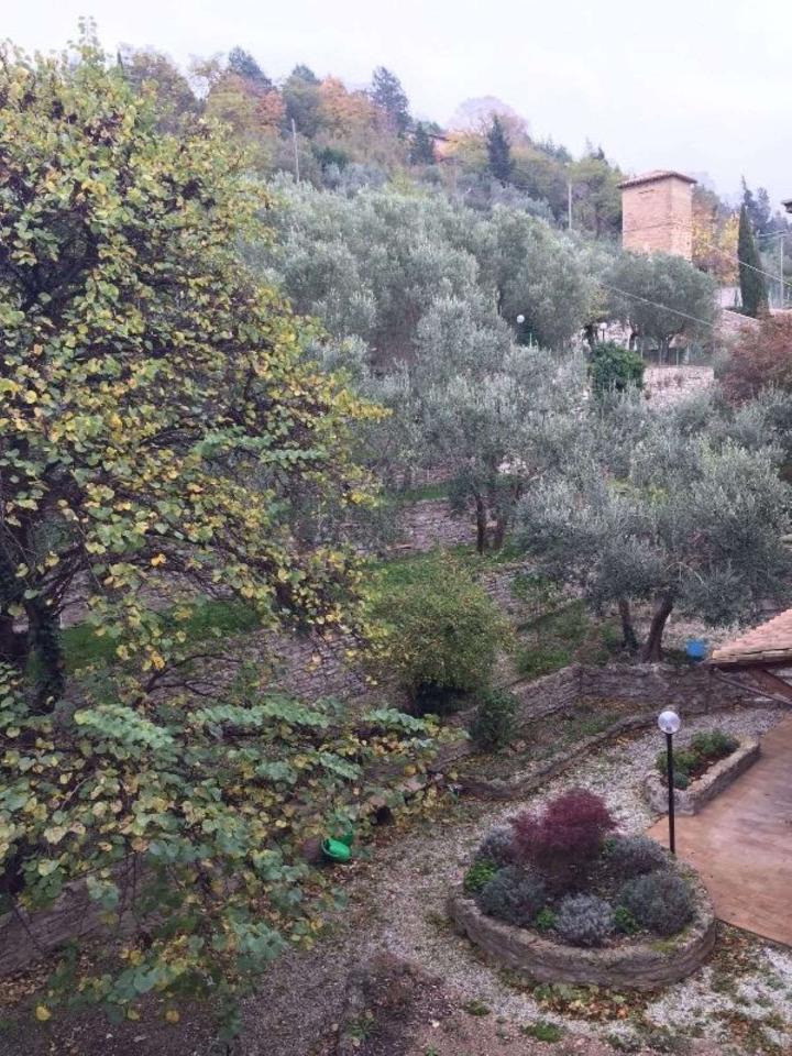 Negozio in San Paolo, Assisi, {3} - Foto 2