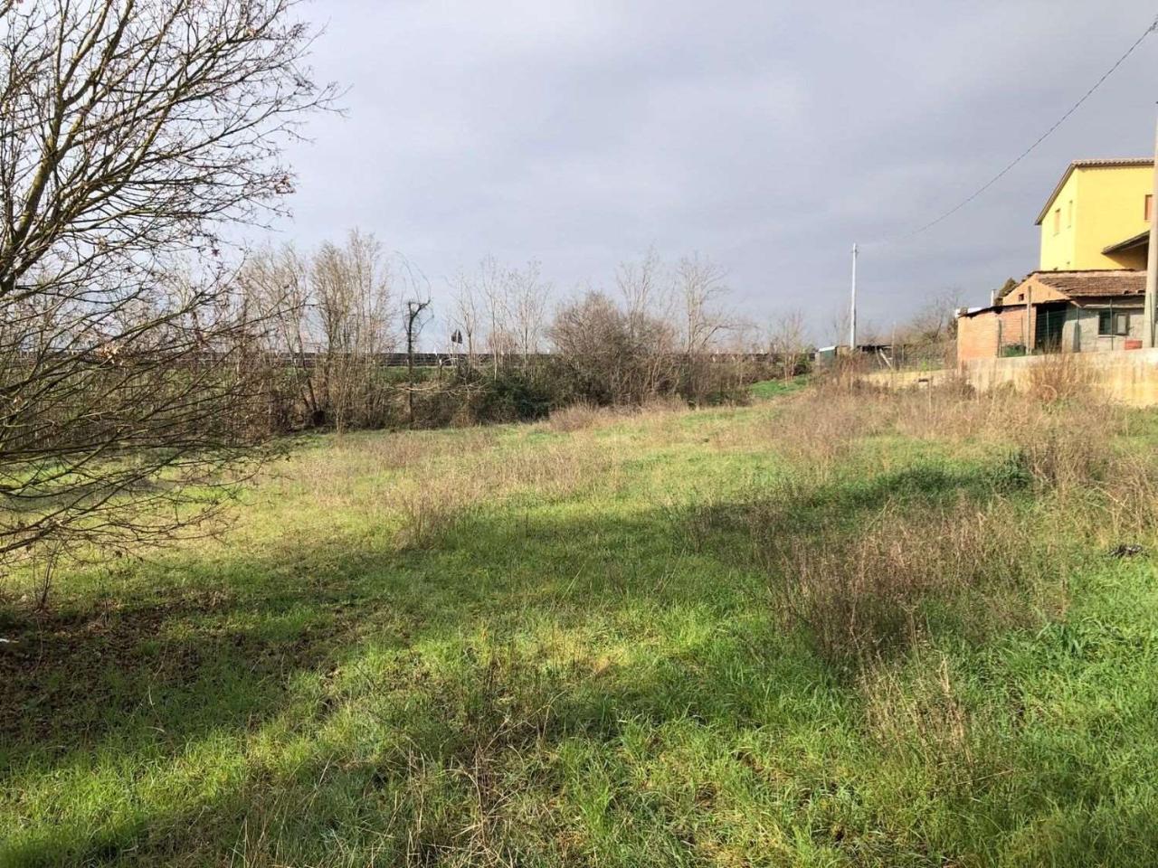 immagine annuncio 3 di 12