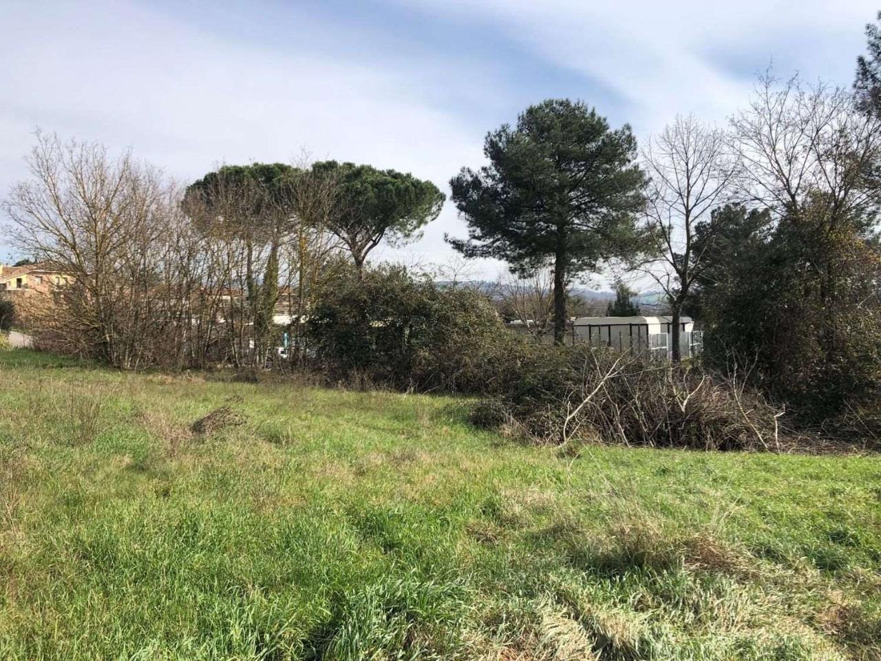 immagine annuncio 8 di 12