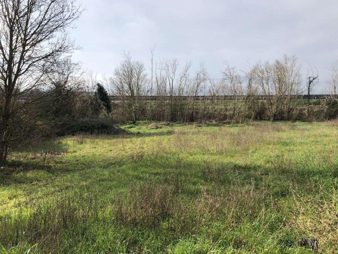 immagine annuncio 4 di 12