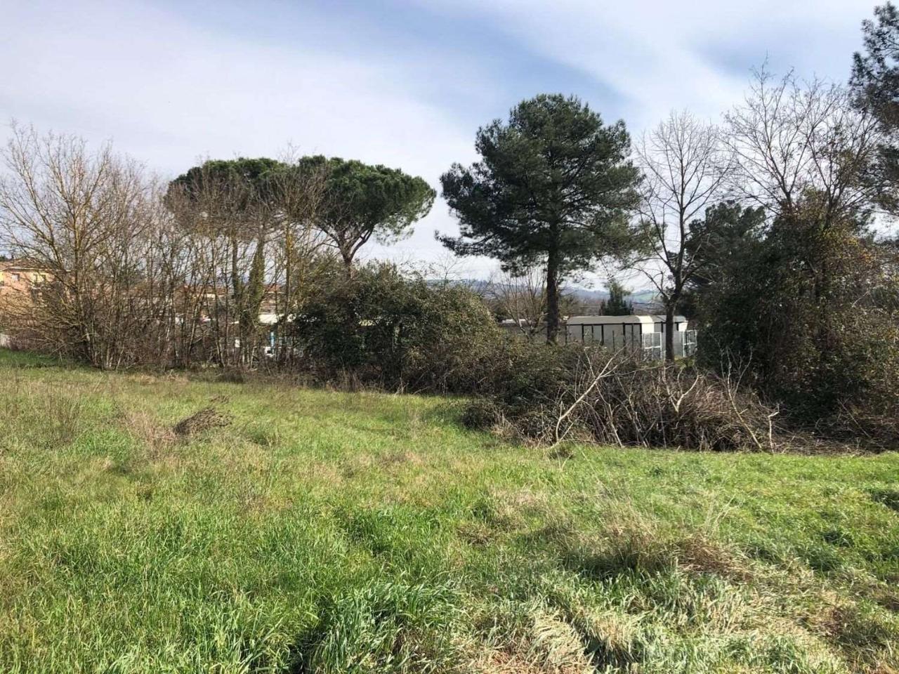 immagine annuncio 7 di 12