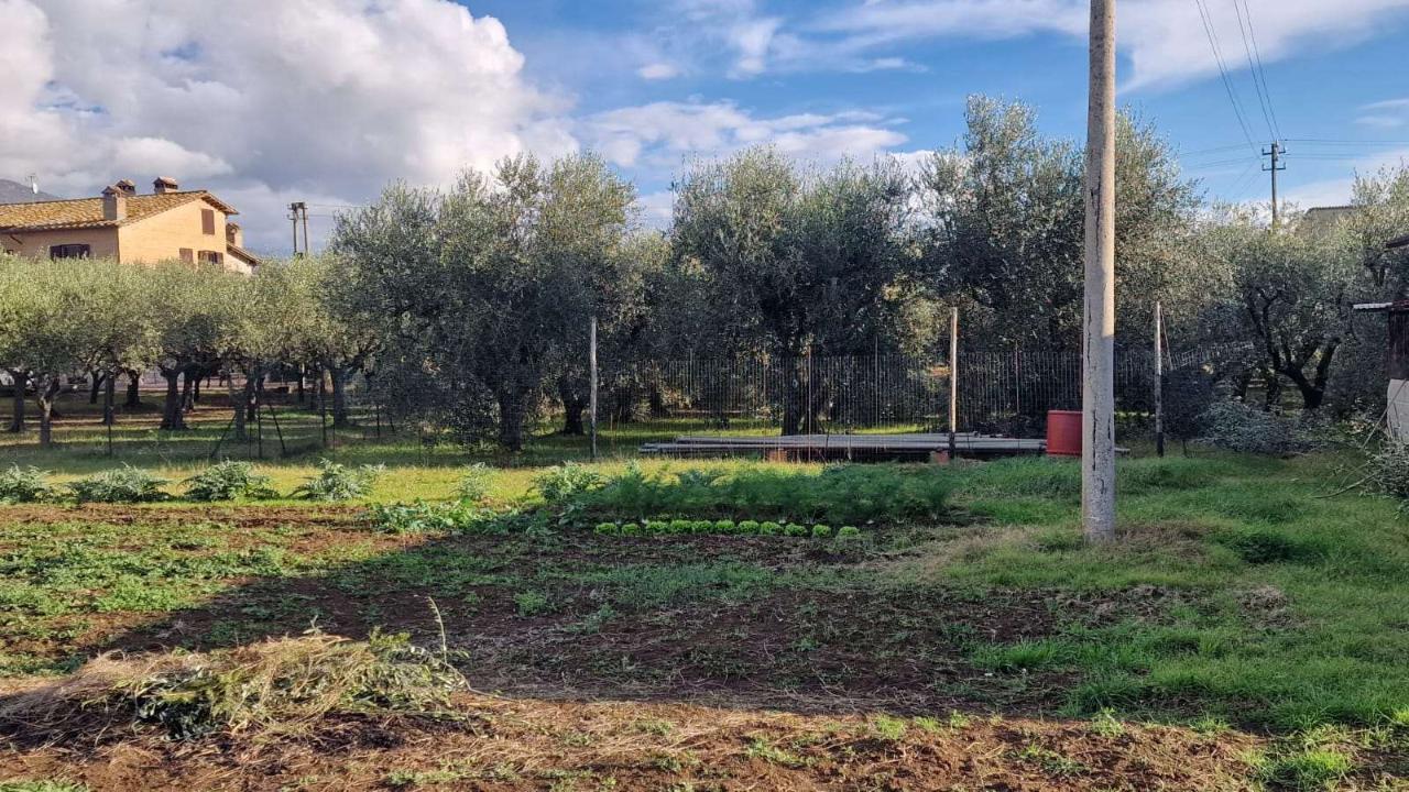 immagine annuncio 2 di 8