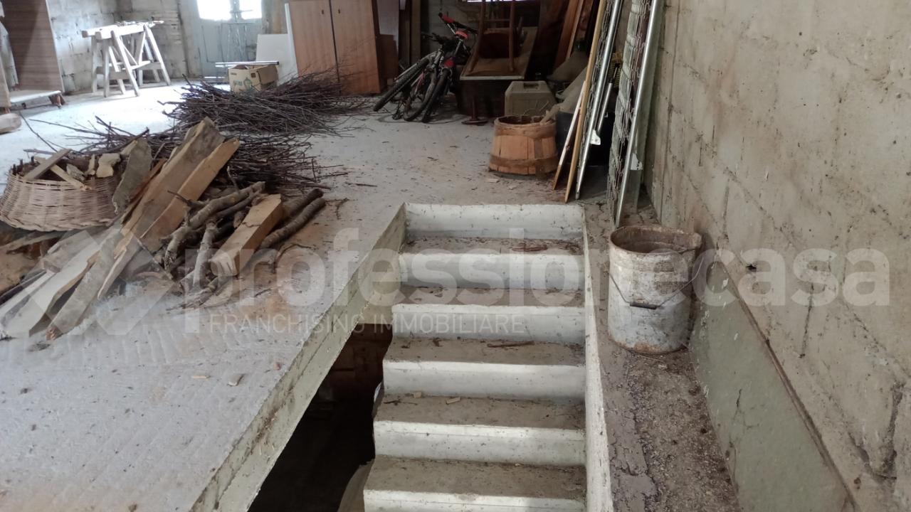 immagine annuncio 6 di 12