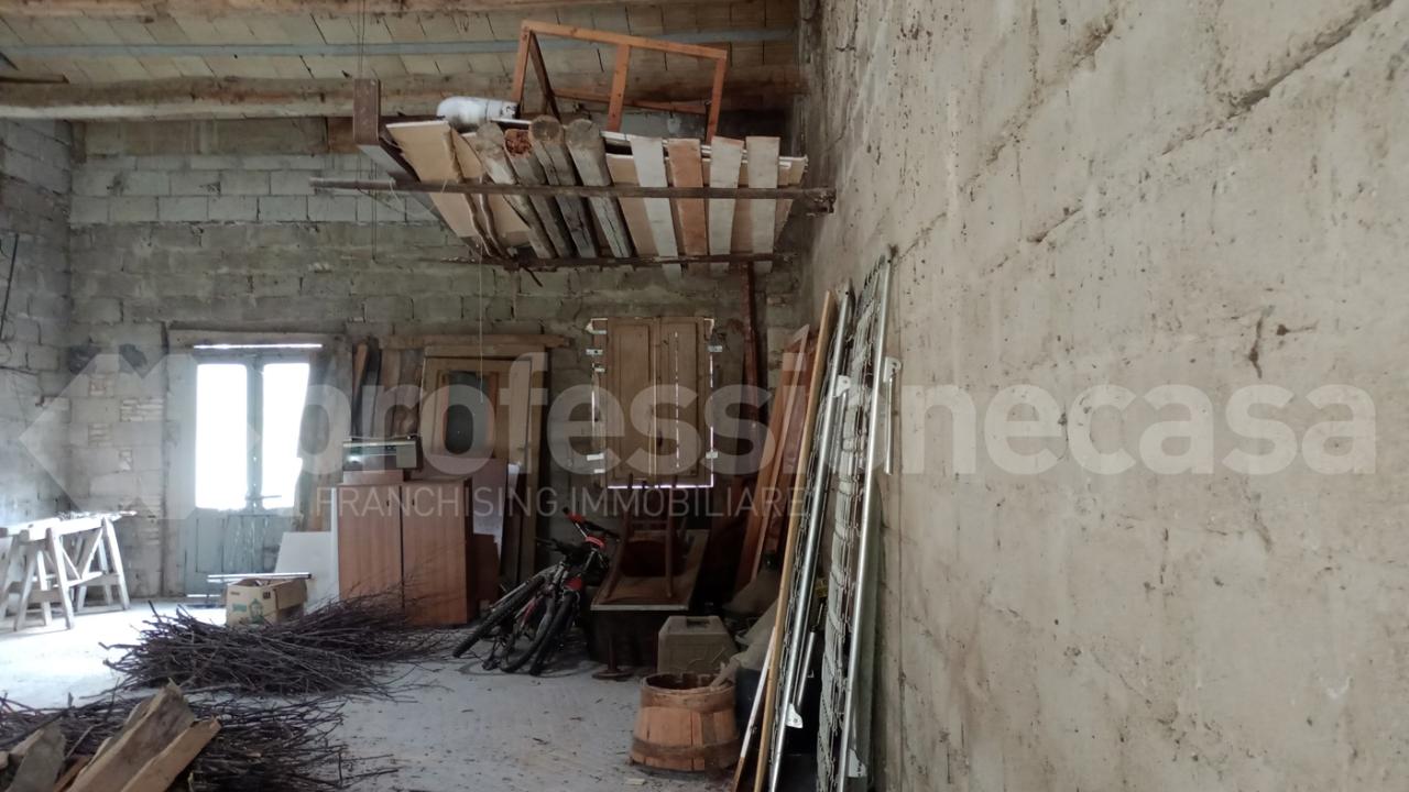 immagine annuncio 5 di 12