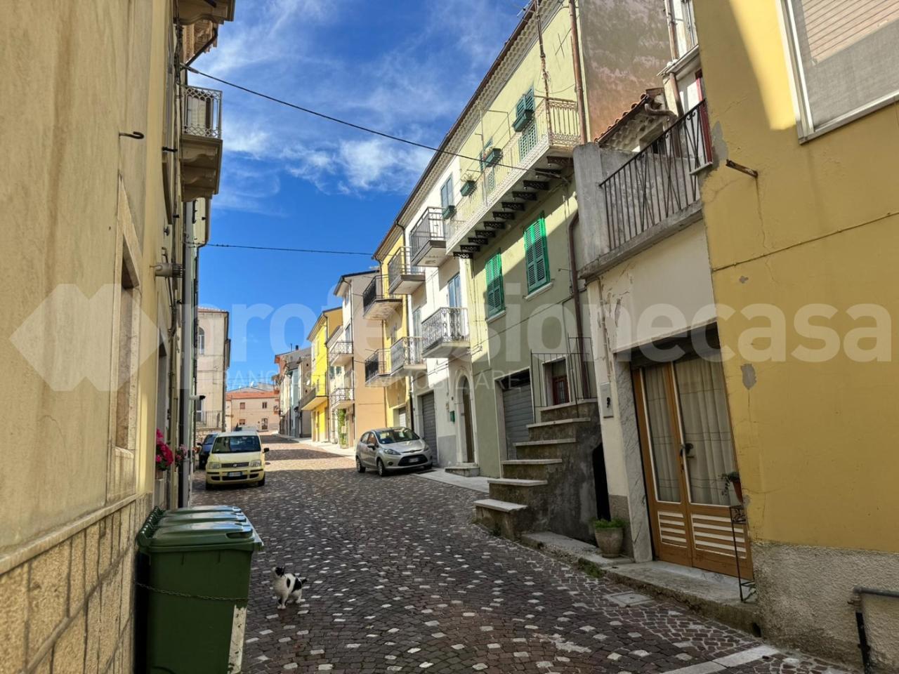 immagine annuncio 12 di 14